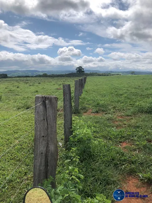 Foto 9 de Fazenda / Haras à venda, 105m2 em Fazenda Nova - GO