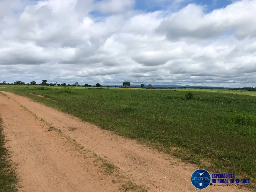Foto 6 de Fazenda / Haras à venda, 105m2 em Fazenda Nova - GO