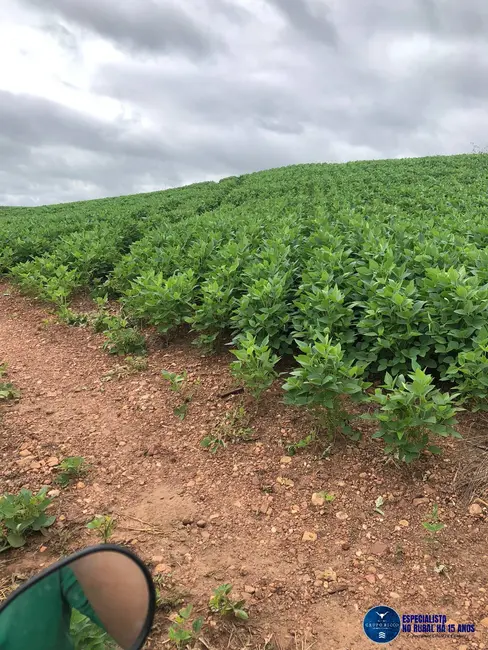Foto 1 de Fazenda / Haras à venda, 105m2 em Fazenda Nova - GO