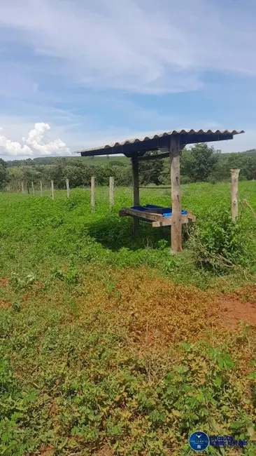 Foto 5 de Fazenda / Haras com 3 quartos à venda, 56m2 em Ivolandia - GO