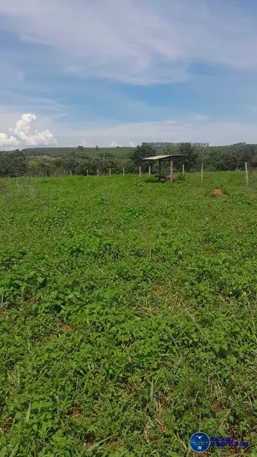 Foto 6 de Fazenda / Haras com 3 quartos à venda, 56m2 em Ivolandia - GO