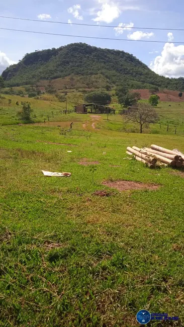Foto 1 de Fazenda / Haras à venda, 56m2 em Ivolandia - GO