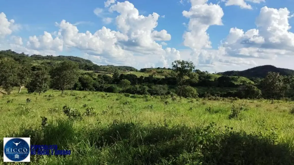 Foto 4 de Fazenda / Haras com 3 quartos à venda, 160m2 em  - GO