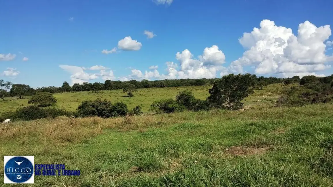 Foto 5 de Fazenda / Haras com 3 quartos à venda, 160m2 em  - GO