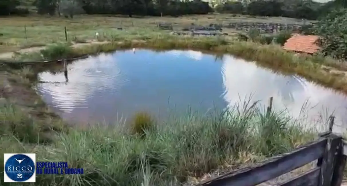 Foto 2 de Fazenda / Haras com 3 quartos à venda, 160m2 em  - GO