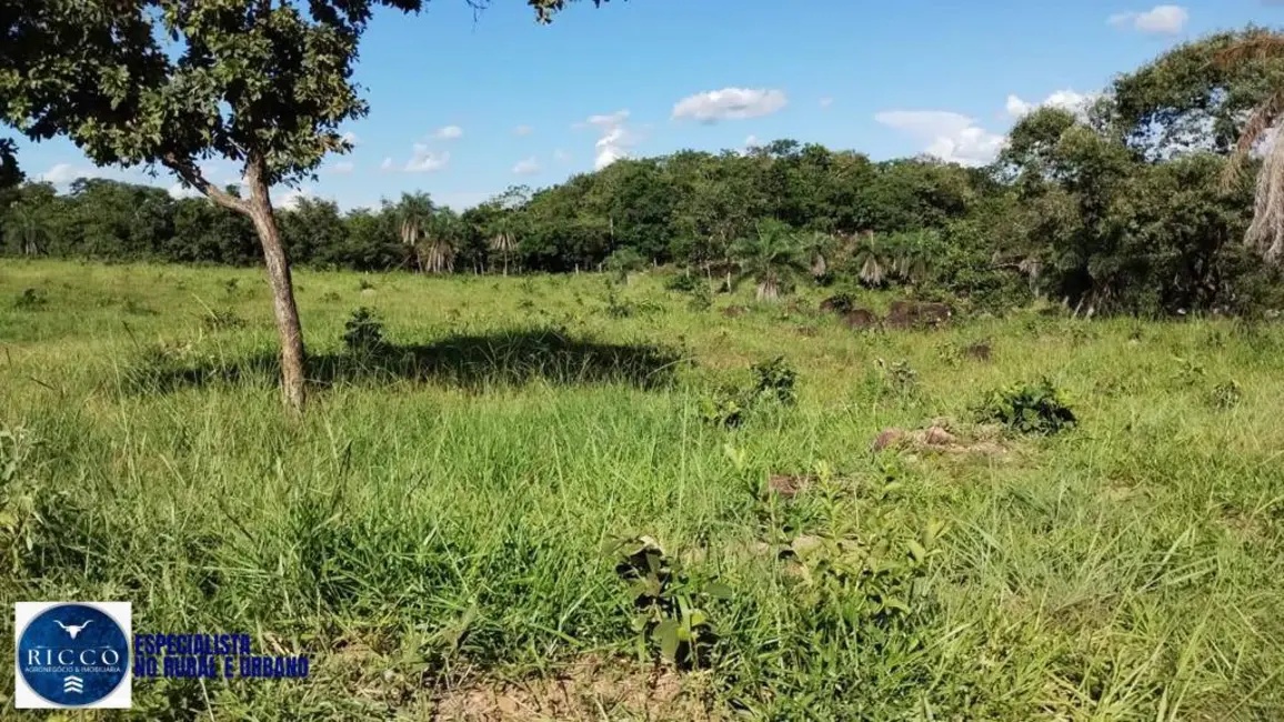 Foto 3 de Fazenda / Haras com 3 quartos à venda, 160m2 em  - GO