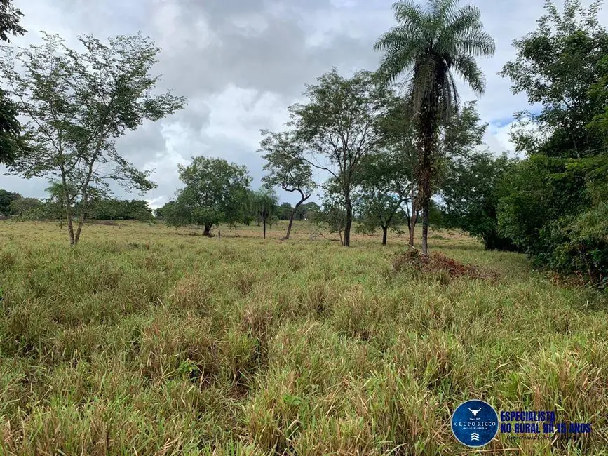 Foto 2 de Fazenda / Haras à venda, 50m2 em Porangatu - GO