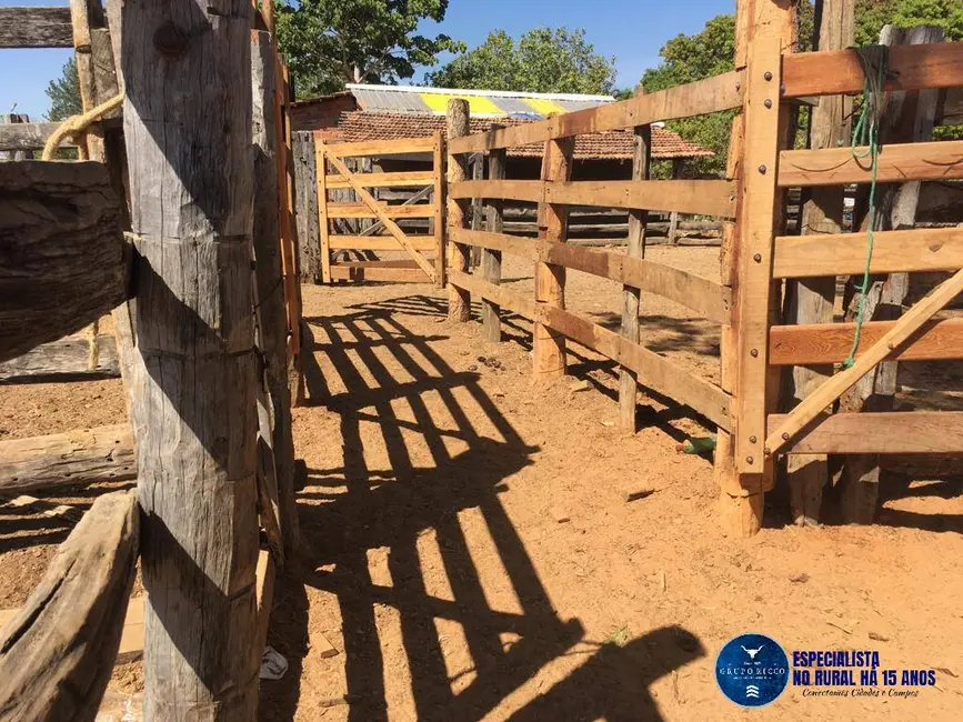 Foto 2 de Fazenda / Haras à venda, 142m2 em Fazenda Nova - GO