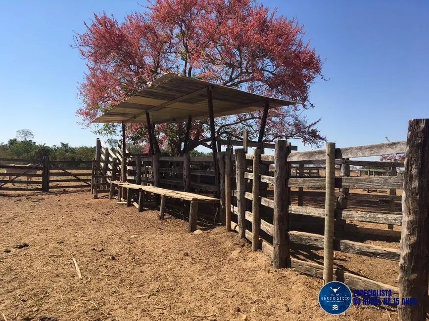 Fazenda / Haras à venda, 142m2 em Fazenda Nova - GO - imagem 5 Foto 5 de Fazenda / Haras à venda, 142m2 em Fazenda Nova - GO