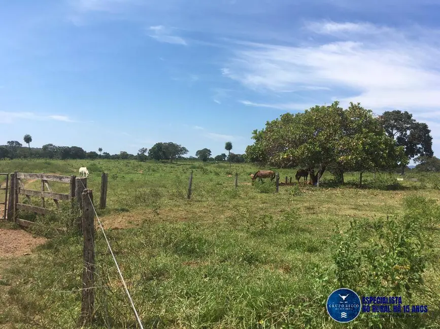 Fazenda / Haras à venda, 142m2 em Fazenda Nova - GO - imagem 7 Foto 7 de Fazenda / Haras à venda, 142m2 em Fazenda Nova - GO