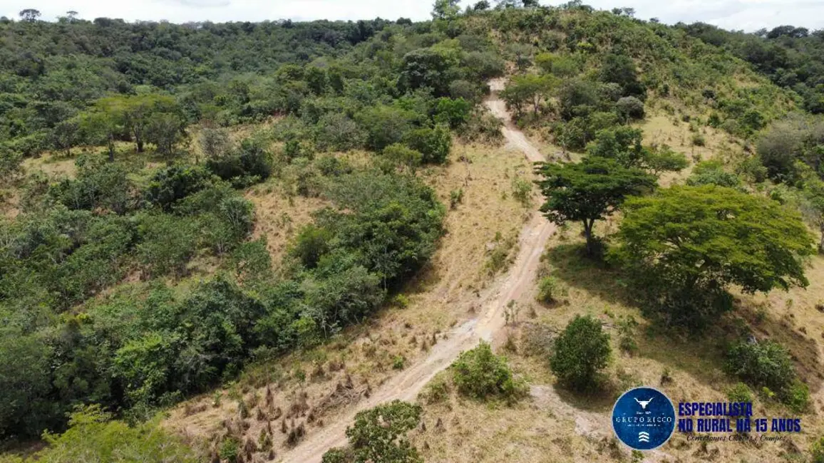 Foto 1 de Fazenda / Haras à venda, 39m2 em Alexania - GO