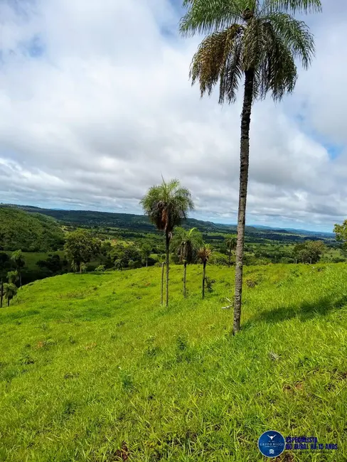 Foto 1 de Chácara à venda, 10m2 em Jaragua - GO