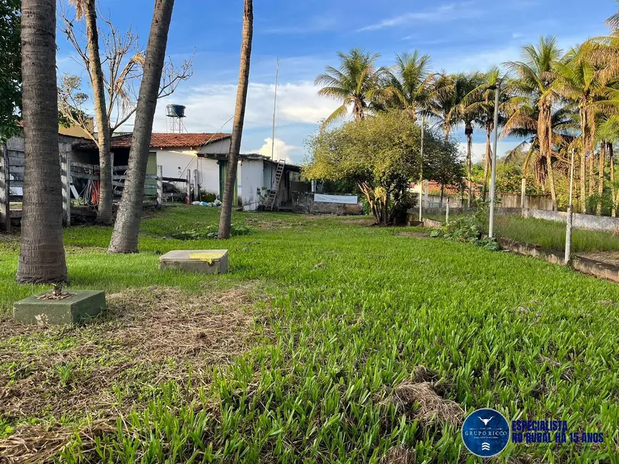 Foto 8 de Chácara com 3 quartos à venda, 8864m2 em Inhumas - GO