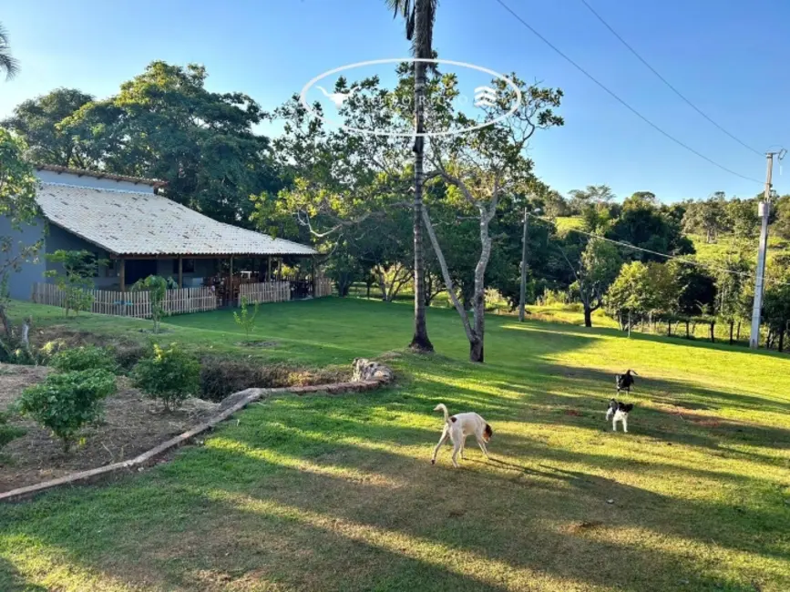 Chácara com 2 quartos à venda, 38000m2 em Guapo - GO - imagem 7 Foto 7 de Chácara com 2 quartos à venda, 38000m2 em Guapo - GO