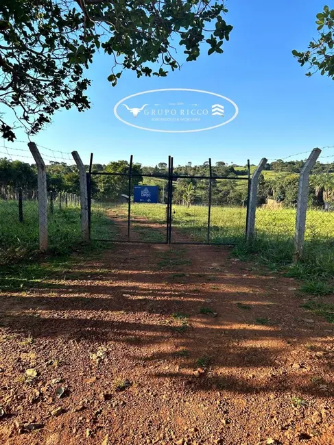 Chácara com 2 quartos à venda, 38000m2 em Guapo - GO - imagem 5 Foto 5 de Chácara com 2 quartos à venda, 38000m2 em Guapo - GO