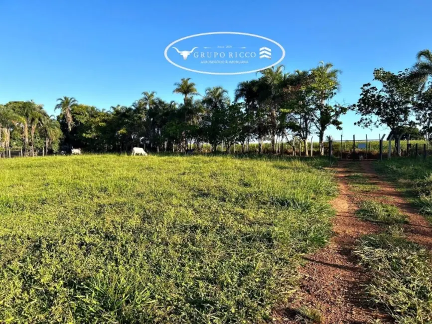 Foto 2 de Chácara com 2 quartos à venda, 38000m2 em Guapo - GO