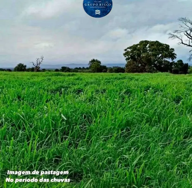 Foto 1 de Fazenda / Haras à venda, 200m2 em Nova Crixas - GO