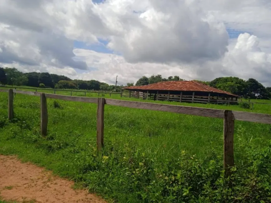 Foto 6 de Fazenda / Haras à venda, 37m2 em Sanclerlandia - GO