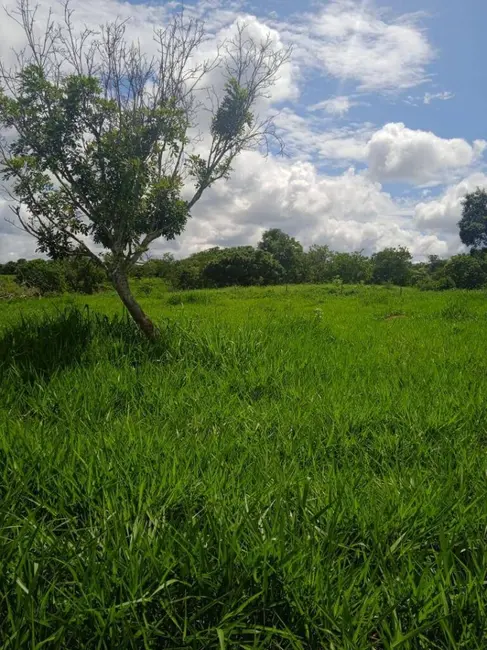 Foto 4 de Fazenda / Haras à venda, 37m2 em Sanclerlandia - GO