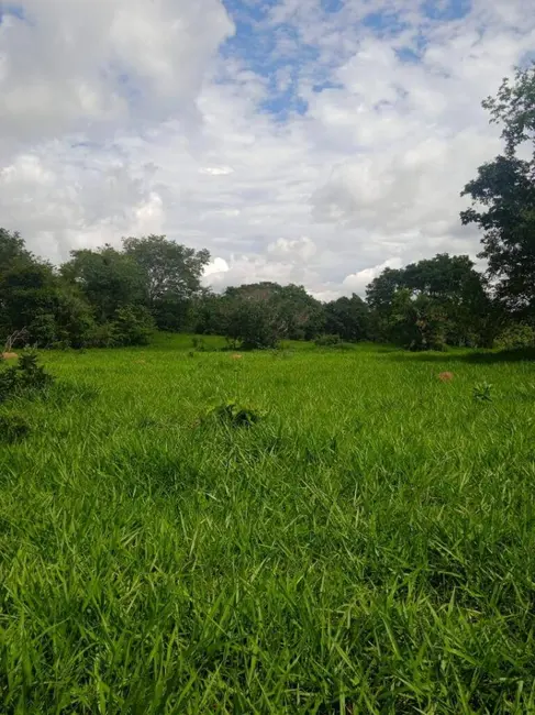 Foto 3 de Fazenda / Haras à venda, 37m2 em Sanclerlandia - GO