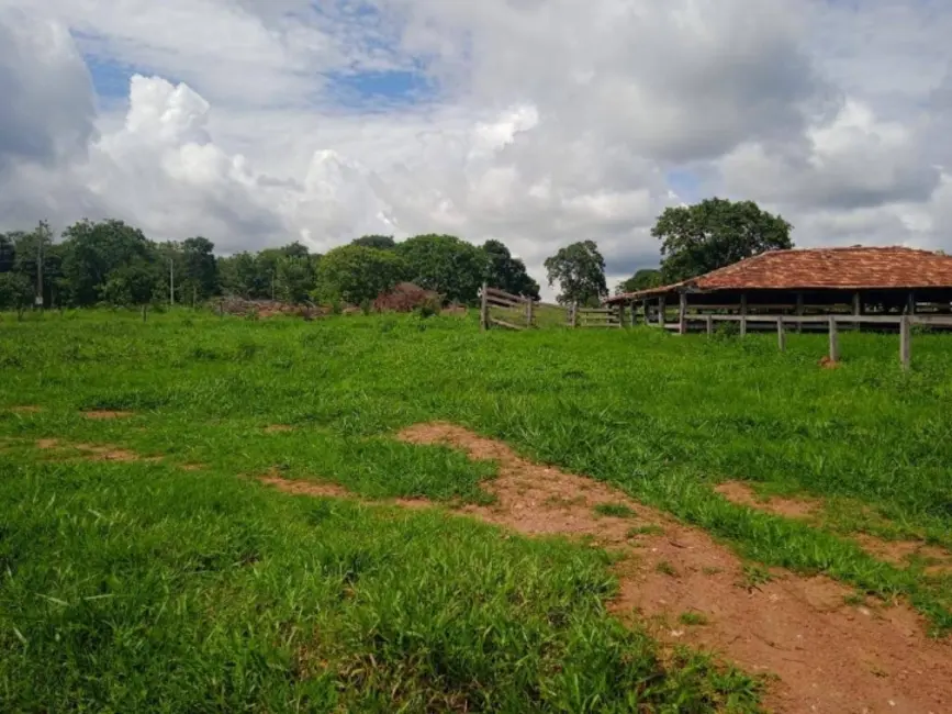 Foto 5 de Fazenda / Haras à venda, 37m2 em Sanclerlandia - GO
