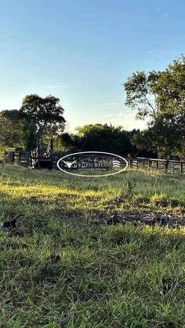 Fazenda / Haras à venda, 38m2 em Ipora - GO - imagem 7 Foto 7 de Fazenda / Haras à venda, 38m2 em Ipora - GO