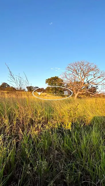 Foto 2 de Fazenda / Haras à venda, 38m2 em Ipora - GO