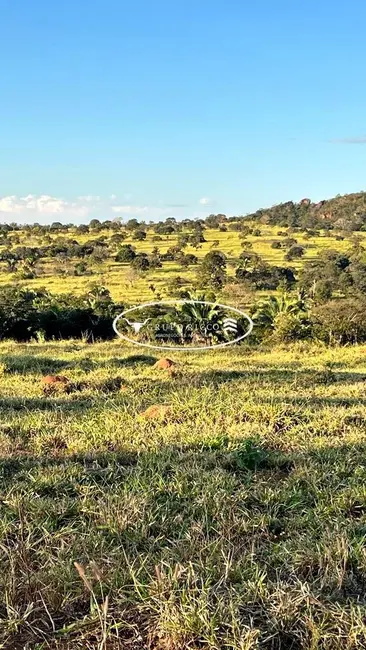 Fazenda / Haras à venda, 38m2 em Ipora - GO - imagem 5 Foto 5 de Fazenda / Haras à venda, 38m2 em Ipora - GO