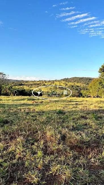 Fazenda / Haras à venda, 38m2 em Ipora - GO - imagem 4 Foto 4 de Fazenda / Haras à venda, 38m2 em Ipora - GO