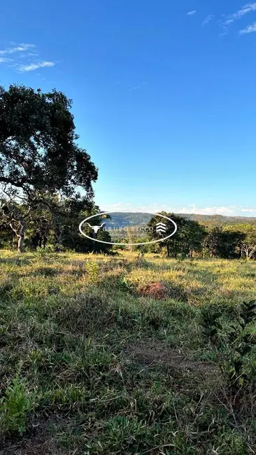 Fazenda / Haras à venda, 38m2 em Ipora - GO - imagem 6 Foto 6 de Fazenda / Haras à venda, 38m2 em Ipora - GO