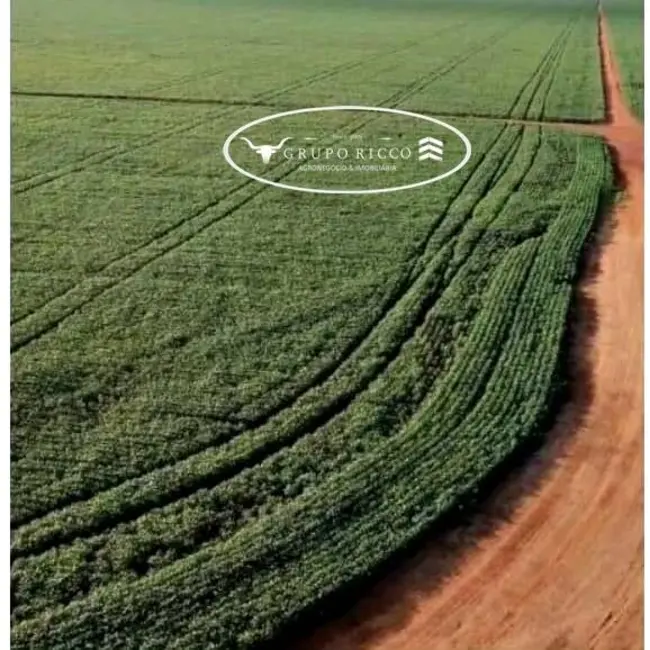 Foto 1 de Fazenda / Haras à venda, 3400m2 em Primavera Do Leste - MT