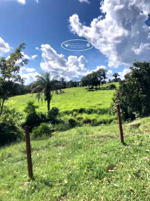 Fazenda / Haras à venda, 40m2 em Ipora - GO - imagem 9 Foto 9 de Fazenda / Haras à venda, 40m2 em Ipora - GO
