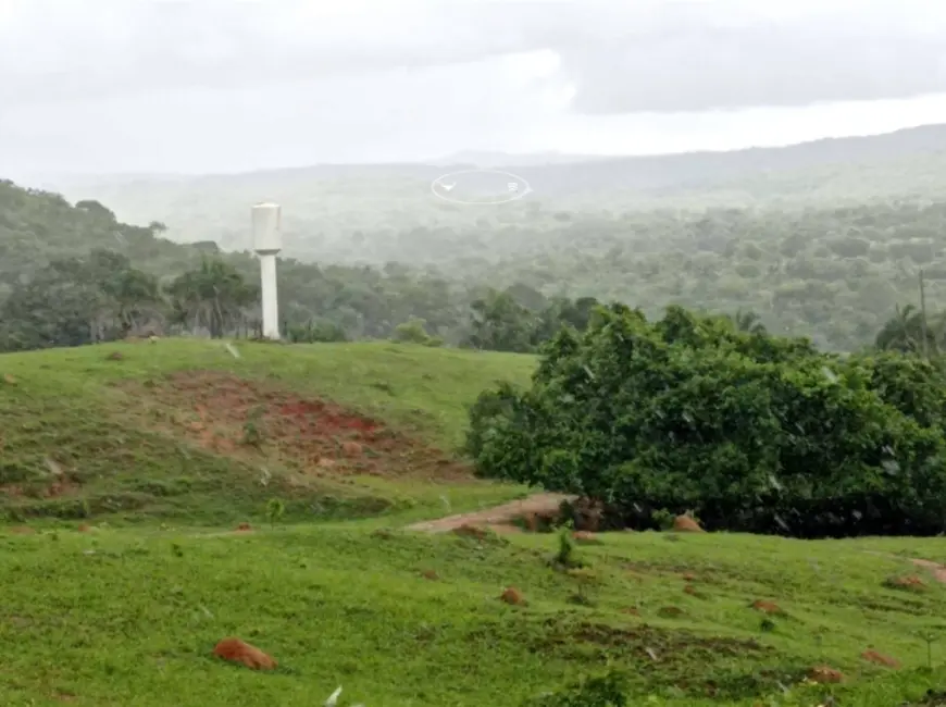 Foto 1 de Fazenda / Haras à venda, 40m2 em Ipora - GO
