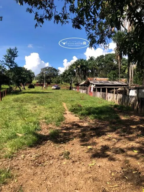 Fazenda / Haras à venda, 40m2 em Ipora - GO - imagem 8 Foto 8 de Fazenda / Haras à venda, 40m2 em Ipora - GO