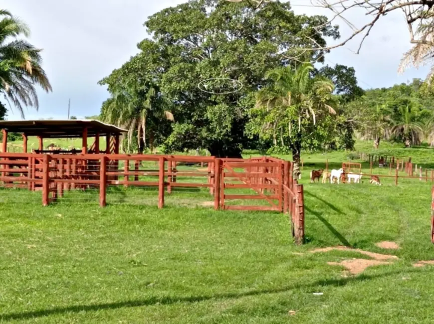 Fazenda / Haras à venda, 40m2 em Ipora - GO - imagem 3 Foto 3 de Fazenda / Haras à venda, 40m2 em Ipora - GO