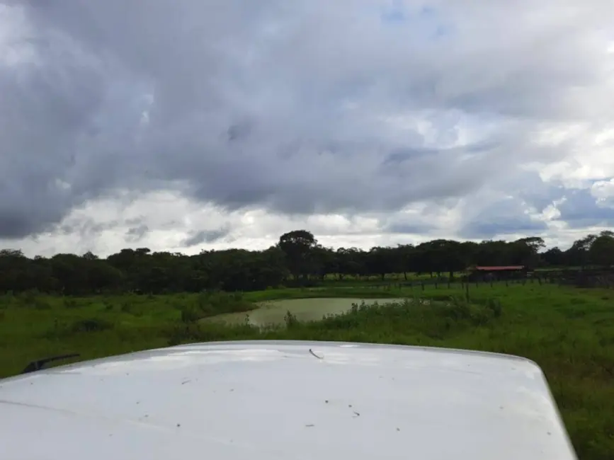 Fazenda / Haras à venda, 601m2 em Brasilia - DF - imagem 8 Foto 8 de Fazenda / Haras à venda, 601m2 em Brasilia - DF