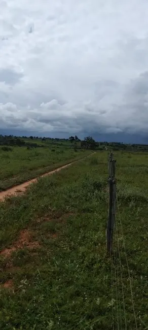Foto 4 de Fazenda / Haras à venda, 50m2 em Setor Central, Ivolandia - GO