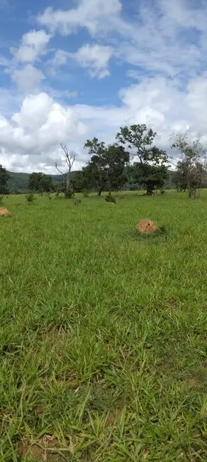 Foto 8 de Fazenda / Haras à venda, 50m2 em Setor Central, Ivolandia - GO