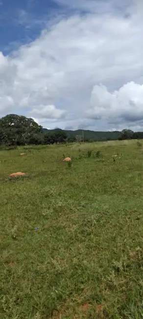 Foto 7 de Fazenda / Haras à venda, 50m2 em Setor Central, Ivolandia - GO