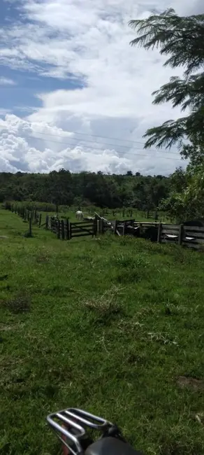 Foto 6 de Fazenda / Haras à venda, 50m2 em Setor Central, Ivolandia - GO