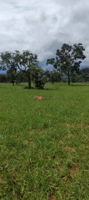 Foto 1 de Fazenda / Haras à venda, 50m2 em Setor Central, Ivolandia - GO