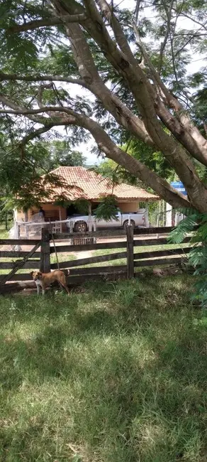 Foto 2 de Fazenda / Haras à venda, 50m2 em Setor Central, Ivolandia - GO