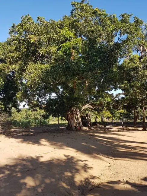 Foto 3 de Chácara à venda em Israelandia - GO