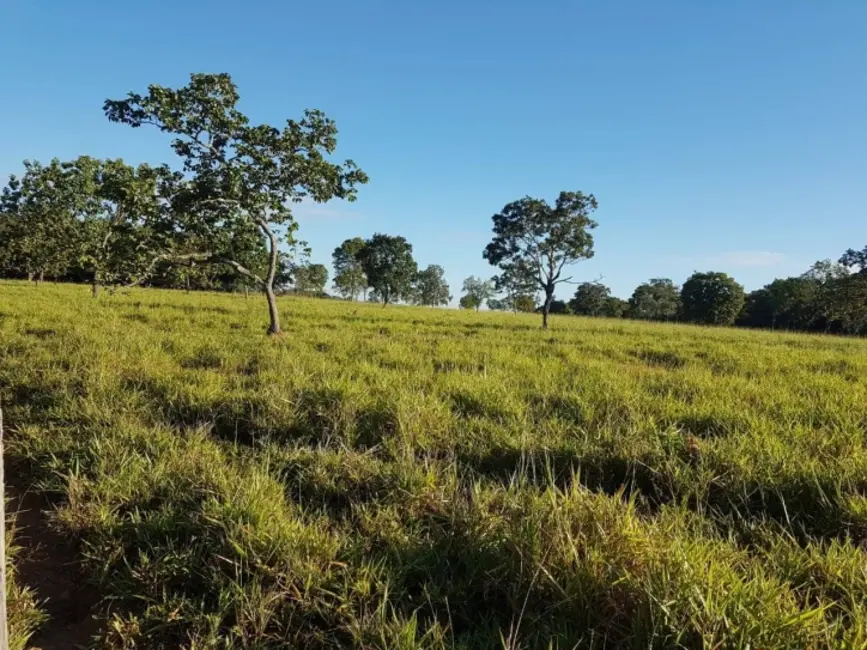 Foto 6 de Chácara à venda em Israelandia - GO