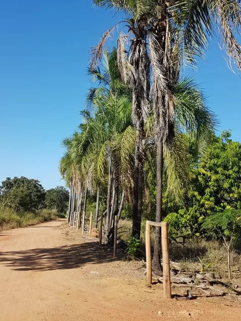 Foto 8 de Chácara à venda em Israelandia - GO