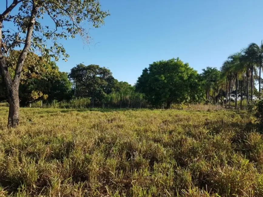 Foto 10 de Chácara à venda em Israelandia - GO