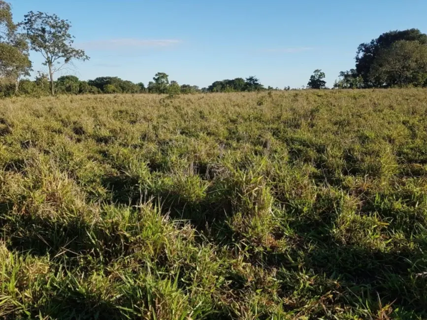Foto 12 de Chácara à venda em Israelandia - GO
