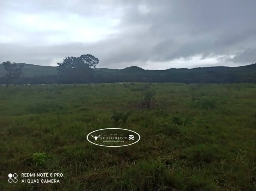 Foto 4 de Fazenda / Haras à venda, 21m2 em Israelandia - GO