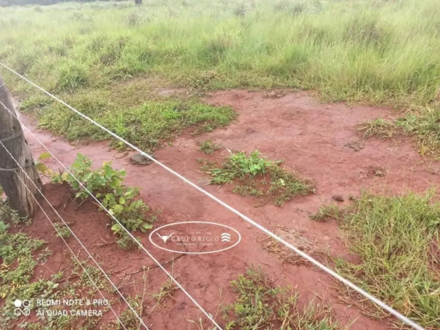 Foto 7 de Fazenda / Haras à venda, 21m2 em Israelandia - GO