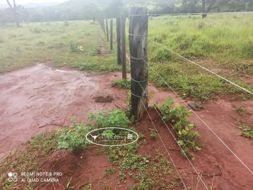 Foto 6 de Fazenda / Haras à venda, 21m2 em Israelandia - GO